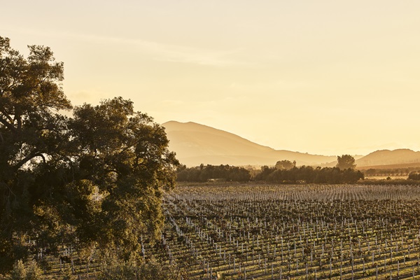 Montage International is developing its fifth property in Mexico